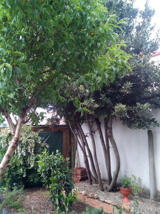 B&B Antica Corte Lombarda Мортара Екстериор снимка